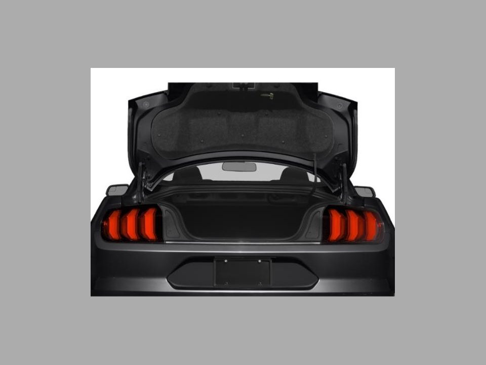 2019 Ford Mustang EcoBoost