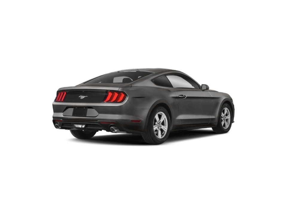 2019 Ford Mustang EcoBoost