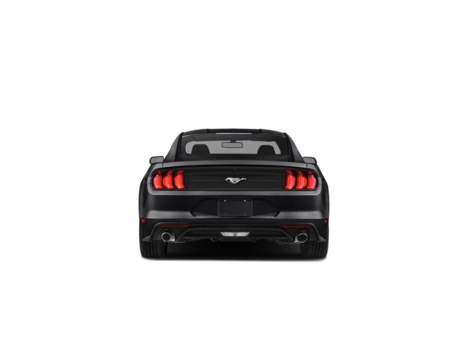 2019 Ford Mustang EcoBoost