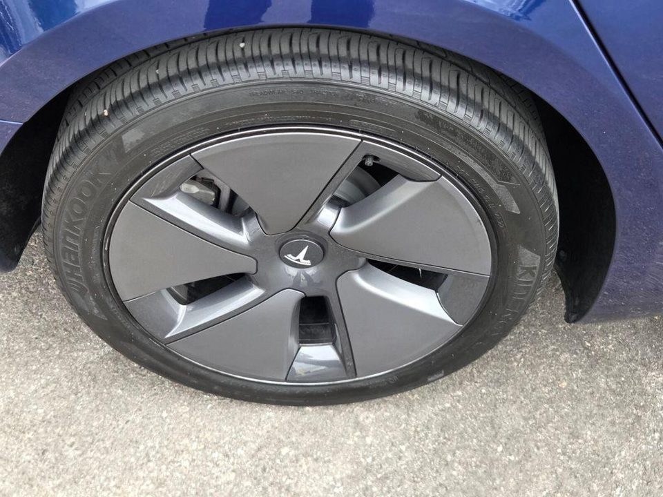2023 Tesla Model 3 Rear-Wheel Drive