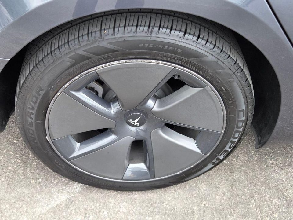 2023 Tesla Model 3 Rear-Wheel Drive