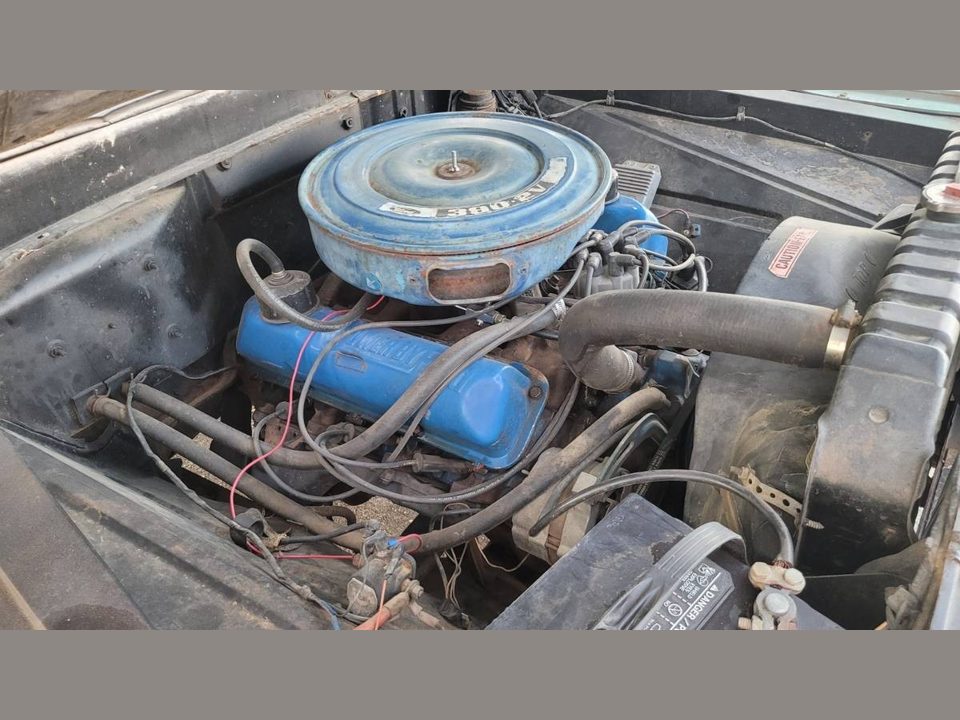 1965 Ford F100