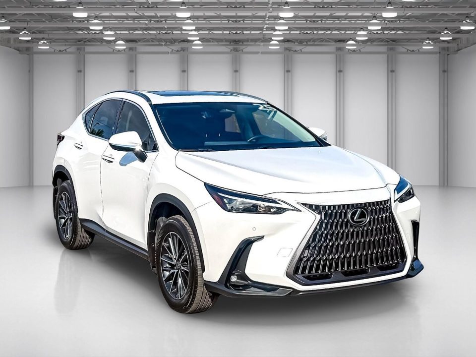 2025 Lexus NX 350 Premium
